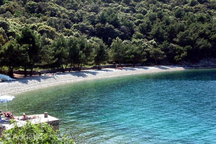 Nona Angela-valun Cres